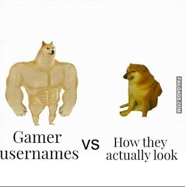 Funny Memes for Gamers 6