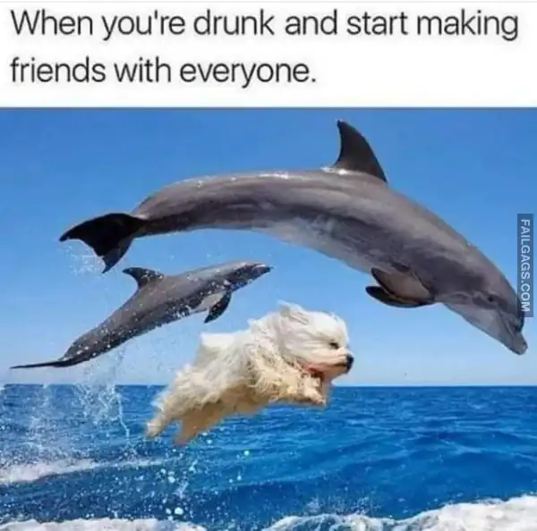 Funny Drunk Memes 6