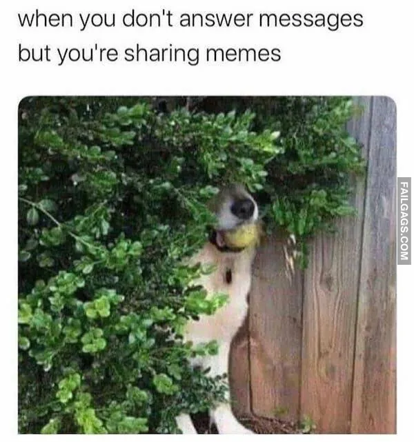 Funny Introvert Memes 9