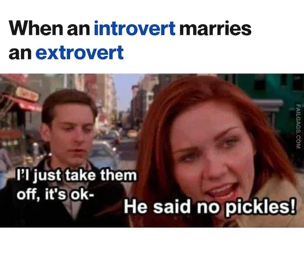 Funny Introvert Memes 7
