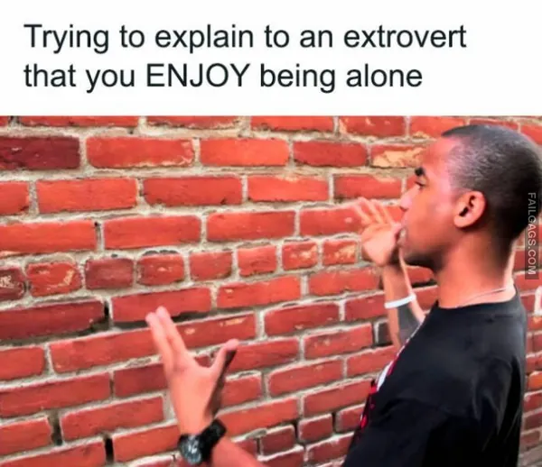 Funny Introvert Memes 2