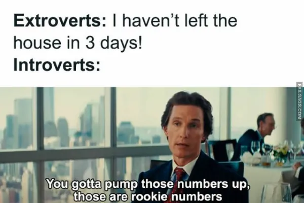 Funny Introvert Memes 6