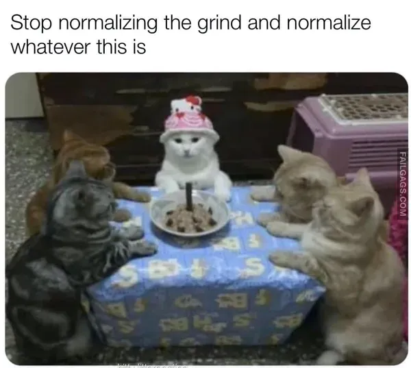 Cat Memes (5)