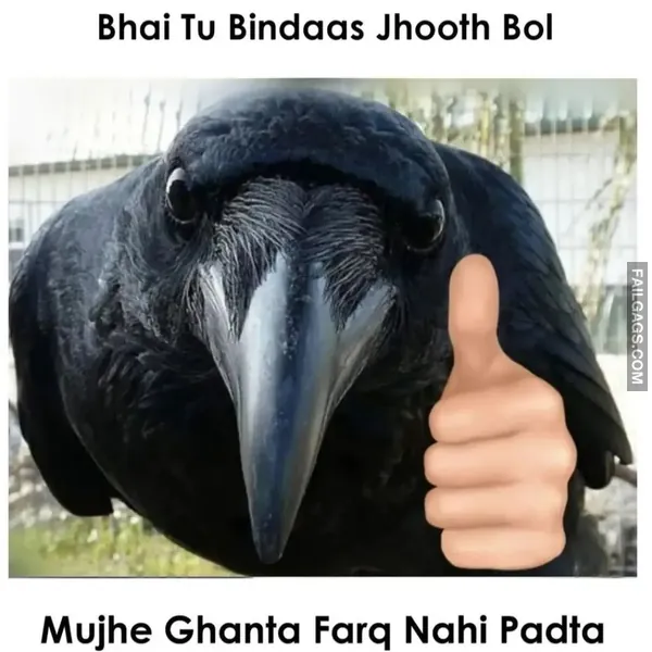 Funny Hindi Memes (2)