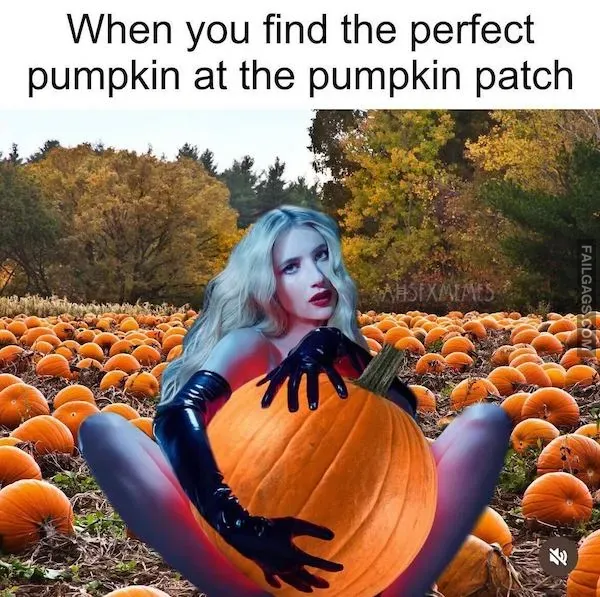 Halloween Memes (5)