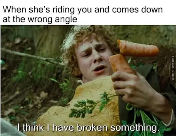 Lord of the Rings Meme (11)