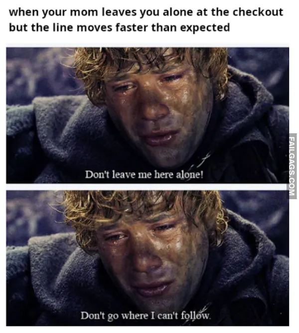 Lord of the Rings Meme (7)