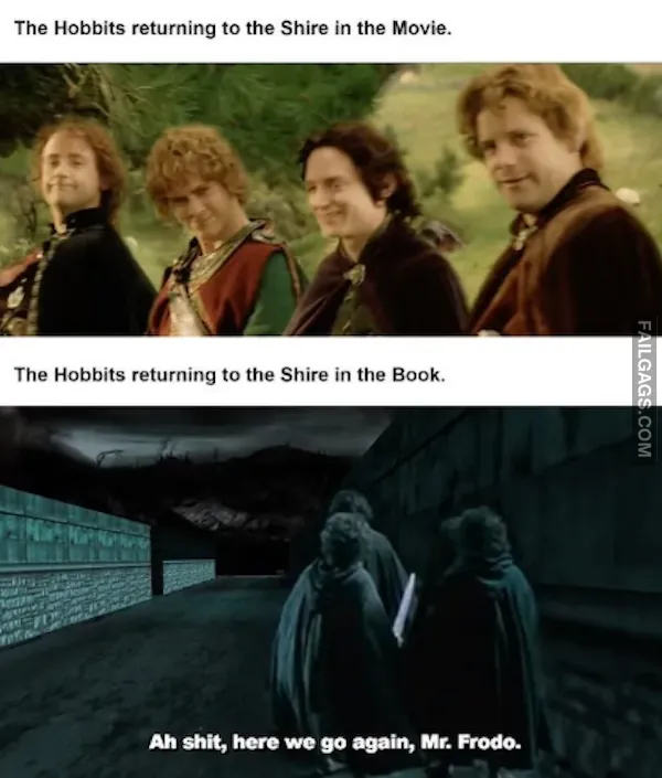 Lord of the Rings Meme (9)