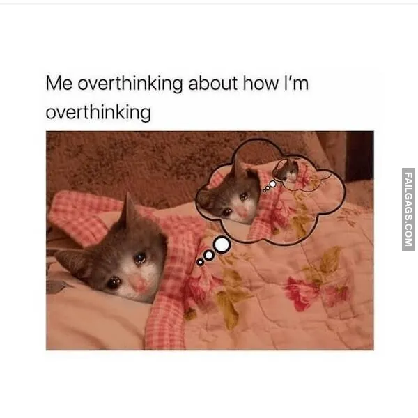 15 Funny Introvert Memes Every Introvert Will Relate to (7)