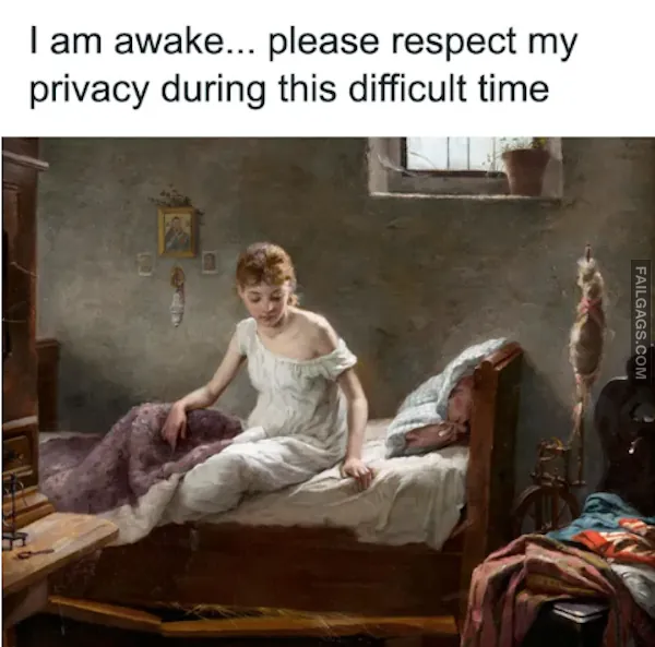 14 Introvert Memes That Require Zero Human Interaction (11)