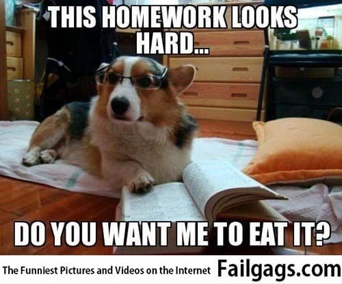 Nice to Have Friends Who Have Your Back This Homework Looks Hard Do You Want Me to Eat It? Meme