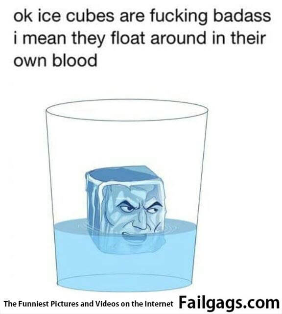 Ok Ice Cubes Are Fucking Badass I Mean They Float Around in Their Own Blood Meme