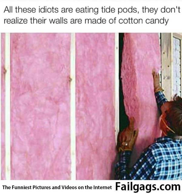 All These Idiots Are Eating Tide Pods They Don't Realize Their Walls Are Made of Cotton Candy Meme