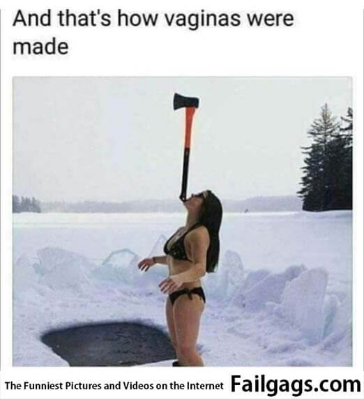 And That's How Vaginas Were Made Meme