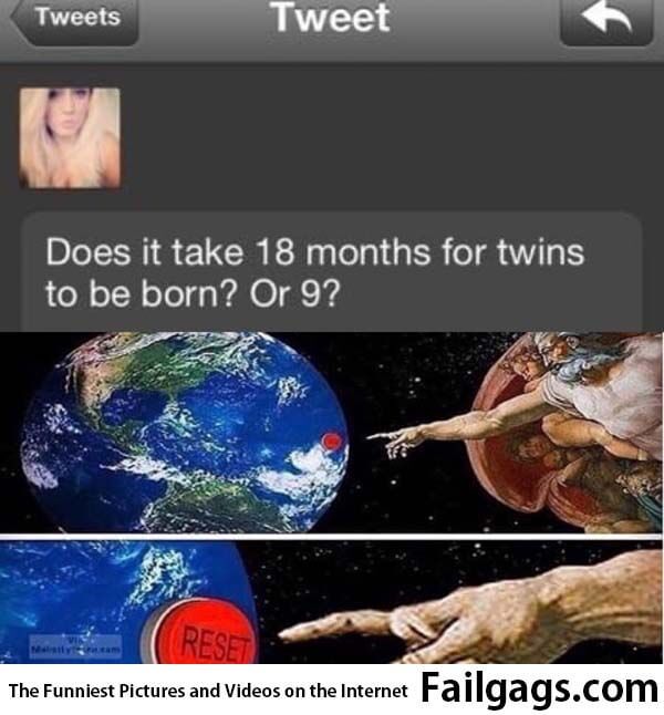 Does It Take 18 Months to Twins to Be Born? Or 9? Meme