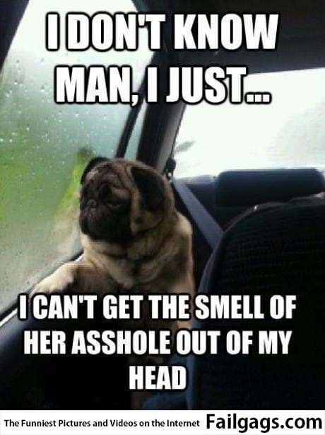 Don't Know Man I Just I Can't Get the Smell of Her Asshole Out of My Head Meme