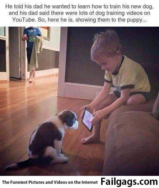 He Told His Dad He Wanted to Learn How to Train His New Dog and His Dad Said There Were Lots of Dog Training Videos on Youtube So Here He Is Showing Them to the Puppy Meme