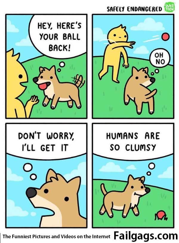 Hey Here's Your Ball Back! Oh No Don't Worry I'll Get It Humans Are So Clumsy Meme