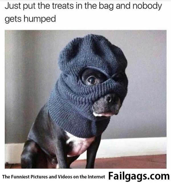 Just Put the Treats in the Bag and Nobody Gets Humped Meme