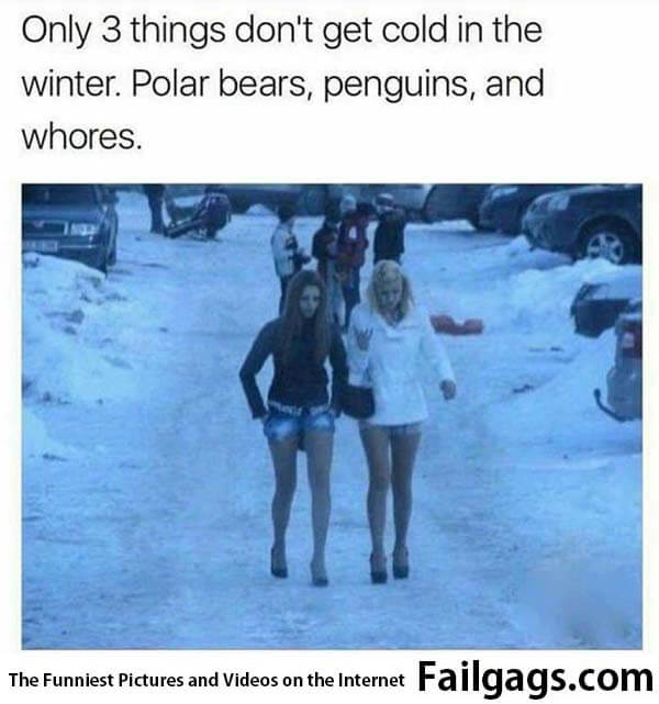 Only 3 Things Don't Get Cold in the Winter Polar Bears Penguins and Whores Meme