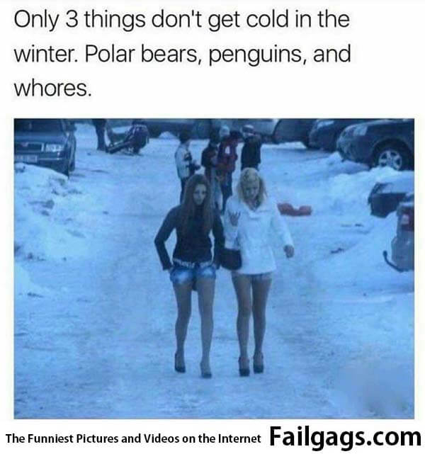 Polar Bears Archives Failgags