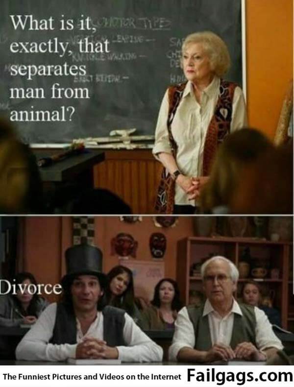 What Is It Exactly That Separates Man From Animal? Divorce Meme