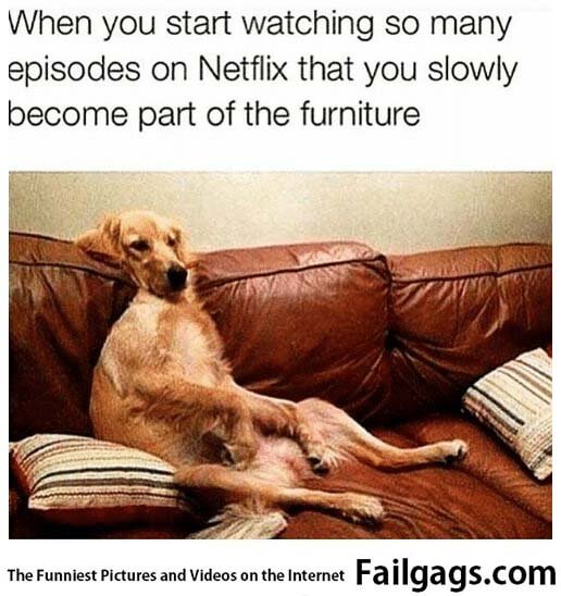 When You Start Watching So Many Episodes on Netflix That You Slowly Become Part of the Furniture Meme