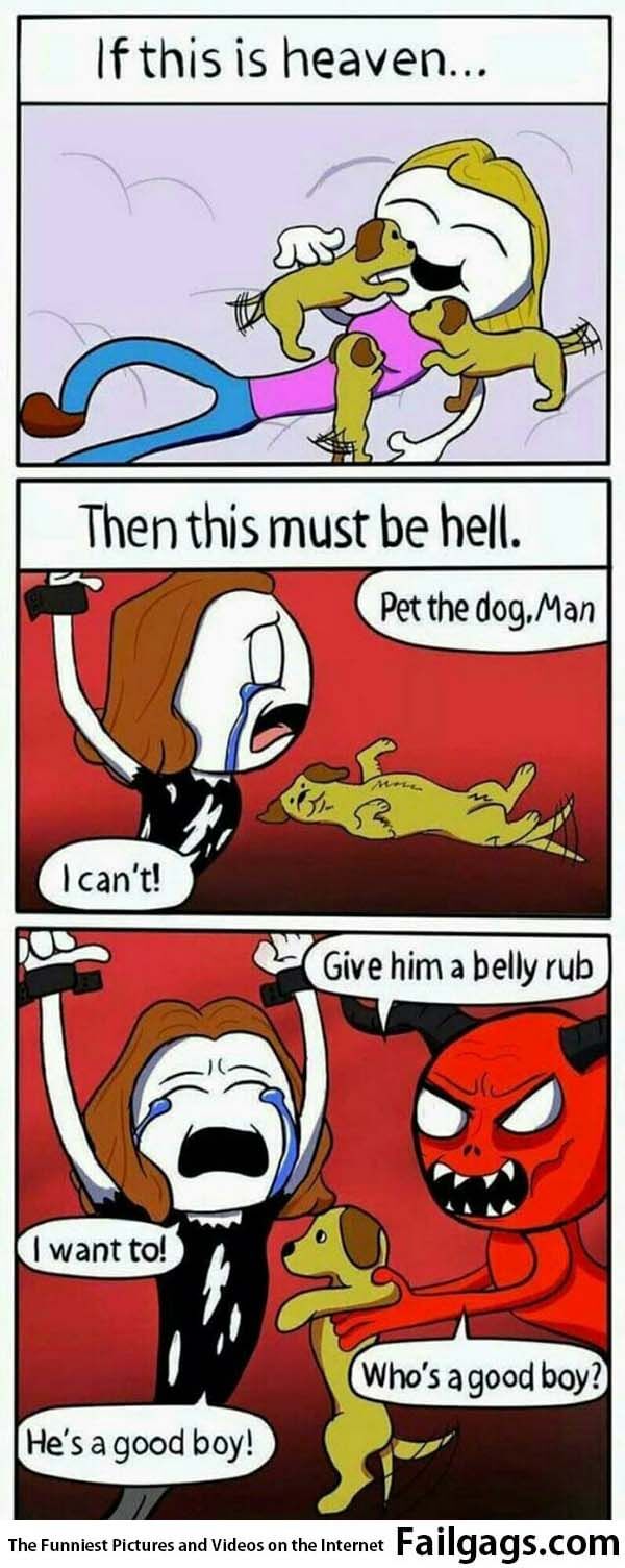 If This Is Heaven Then This Must Be Hell Pet the Dog Man I Can't! Give Him a Belly Rub I Want to! He a Good Boy! Who's a Good Boy? Meme