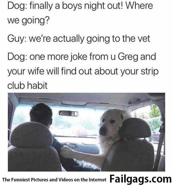 Dog Finally a Boys Night Out! Where We Going? Guy Were Actually Going to the Vet Dog One More Joke From U Greg and Your Wife Will Find Out About Your Strip Club Habit Meme