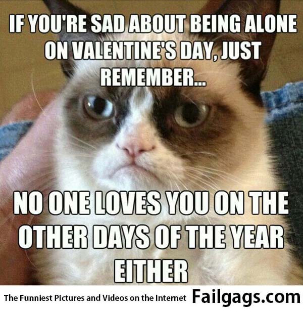 If You're Sad About Being Alone on Valentines Day Just Remember No One Loves You on the Other Days of the Year Either Meme