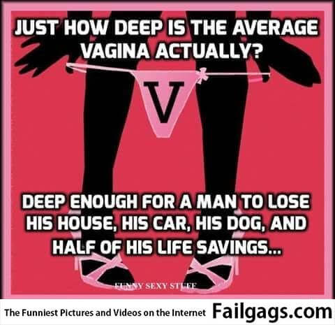 Just How Deep Is the Average Vagina Actually? Deep Enough for a Man to Lose His House His Car His Dog and Half of His Life Savings Meme