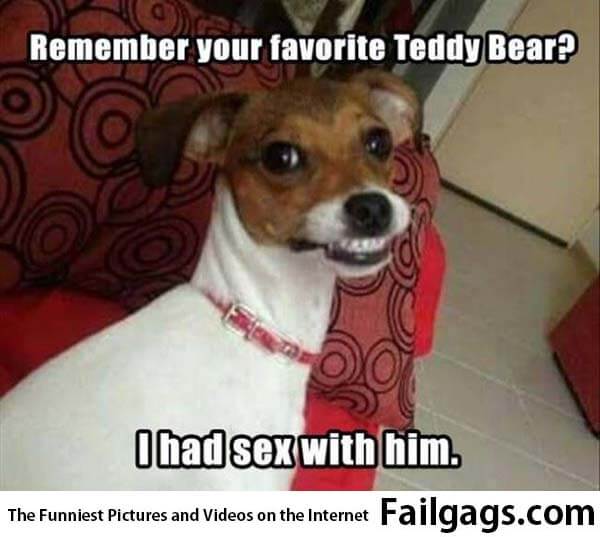 Remember Your Favorite Teddy Bear? I Had Sex With Him Meme