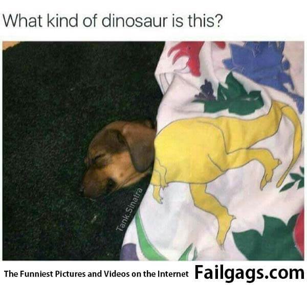 What Kind of Dinosaur Is This? Meme