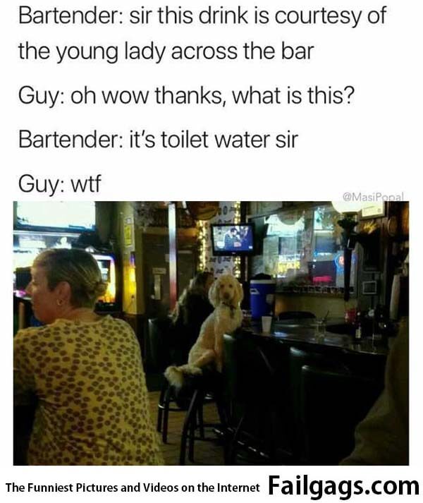 Bartender Sir This Drink Is Courtesy of the Young Lady Across the Bar Guy Oh Wow Thanks What Is This? Bartender Its Toilet Water Sir Guy Wtf Meme