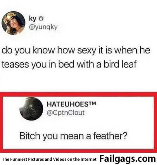 Do You Know How Sexy It Is When He Teases You in Bed With a Bird Leaf Bitch You Mean a Feather? Meme