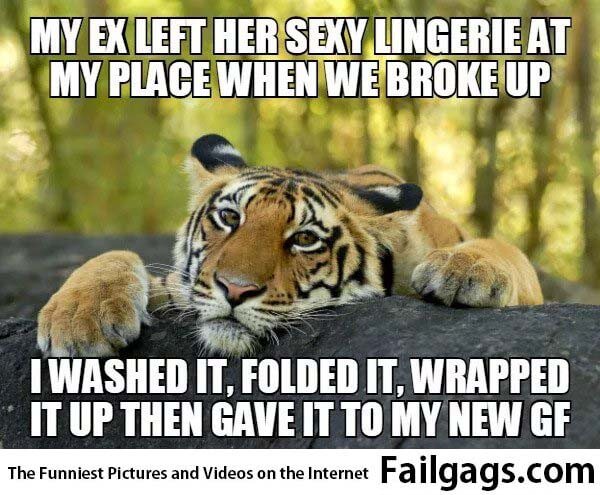 My Ex Left Her Sexy Lingerie at My Place When We Broke Up I Washed It Fold It Wrap It Up Then Gave It to My New Gf Meme