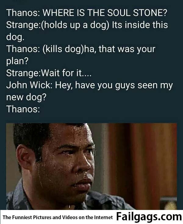 Thanos Where Is the Soul Stone? Strange Holds Up a Dog Its Inside This Dog Thanos Kills Dog Ha That Was Your Plan? Strange Wait for It... John Wick Hey Have You Guys Seen My New Dog? Thanos Meme