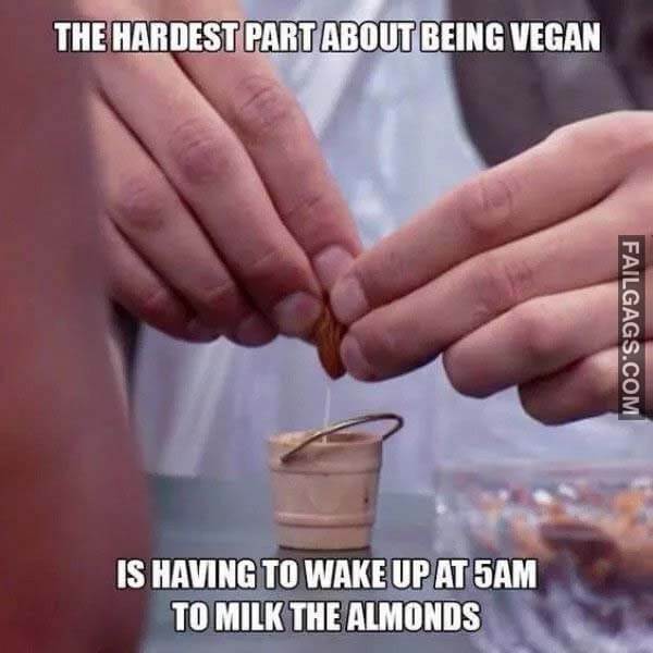 The Hardest Part About Being Vegan Is Having to Wake Up at 5am to Milk the Almonds Meme