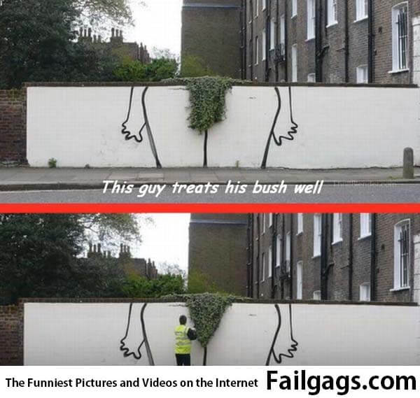 This Guy Treats His Bush Well Meme