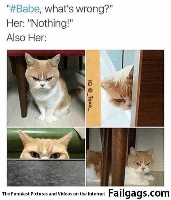 Whats Wrong? Her Nothing! Also Her Meme