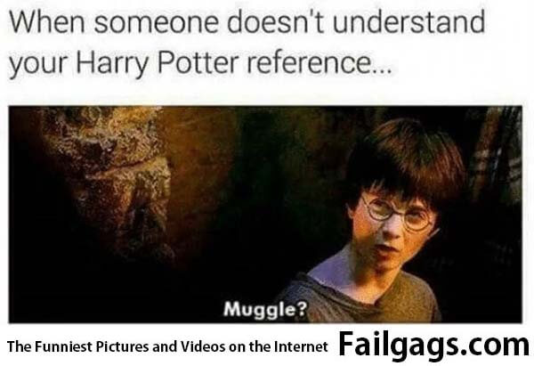 When Someone Doesn't Understand Your Harry Potter Reference Muggle? Meme