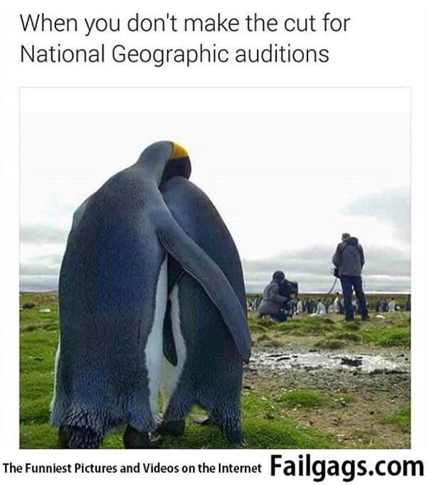 When You Don't Make the Cut for National Geographic Auditions Meme