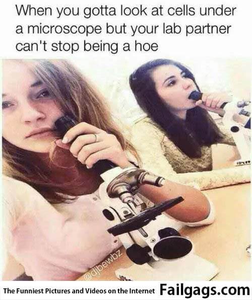 When You Gotta Look at Cells Under a Microscope but Your Lab Partner Can't Stop Being a Hoe Meme