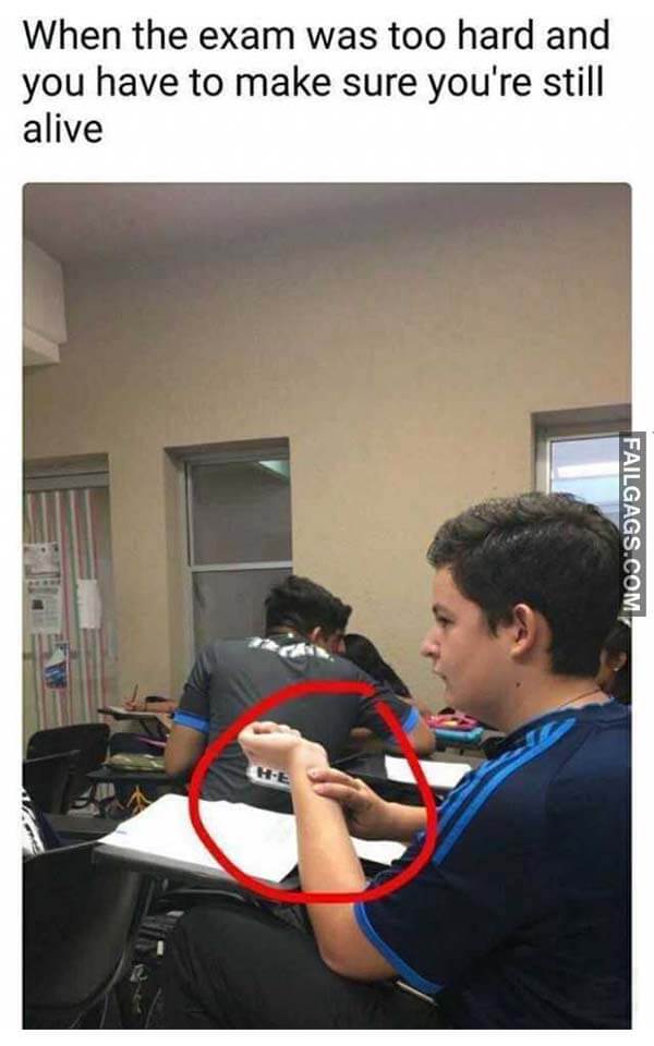 When The Exam Was Too Hard And You Have To Make Sure You're Still Alive Meme