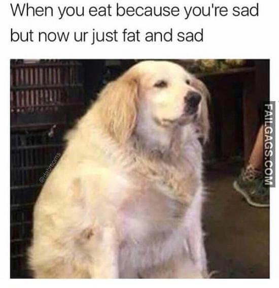 When You Eat Because You're Sad But Now Your Just Fat And Sad Meme