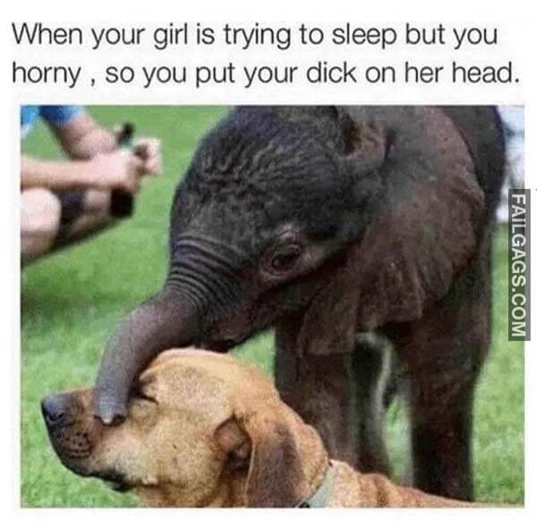When Your Girl Is Trying To Sleep But You Horny So You Put Your Dick On Her Head Meme