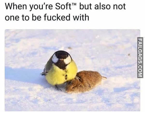 When You're Soft But Also Not One To Be Fucked With Meme