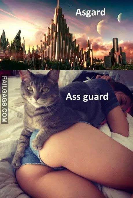 Asgard Vs Ass Guard Meme