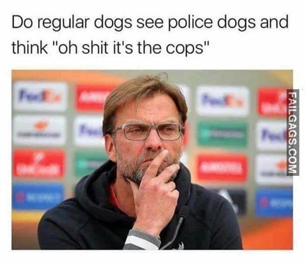 Do Regular Dogs See Police Dogs And Think Oh Shit It's The Cops Meme