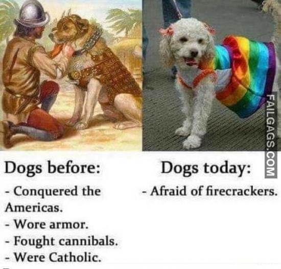 Dogs Before Vs Dogs Today Meme